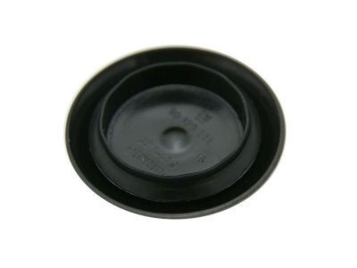 GM 90120285 Scoop Plug