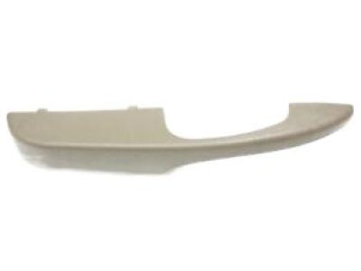 GM 10388389 Handle Cover