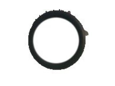 GM 55558112 Seal-Turbo Oil Feed Pipe (O Ring)