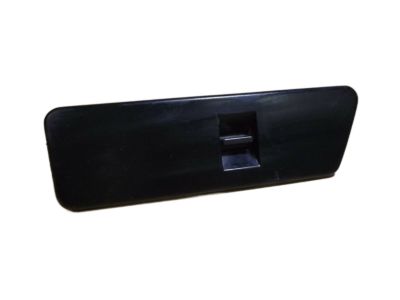 GM 10116728 Plate Asm-Front Side Door Accessory Switch Mount