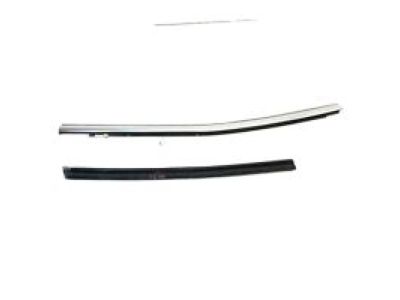 GM 84325911 Molding Asm-Rear Side Door Window Belt Reveal