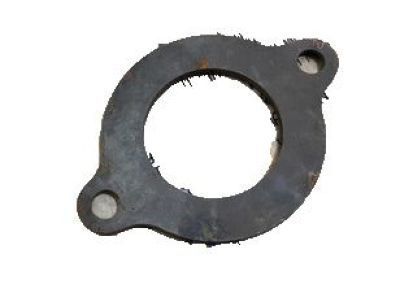 GM 10144059 Retainer, Camshaft