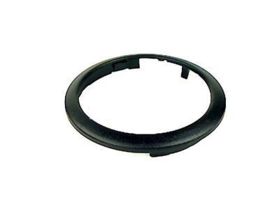 GM 96541651 Escutcheon, Front Side Door Pull Handle