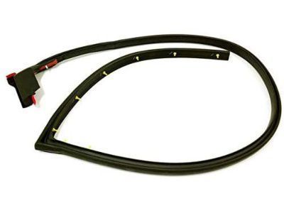 GM 15821952 Lower Weatherstrip