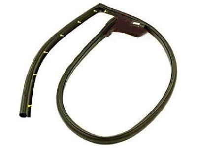 GM 15821952 Lower Weatherstrip