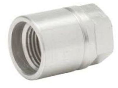 GM 13581557 Valve Assembly Nut