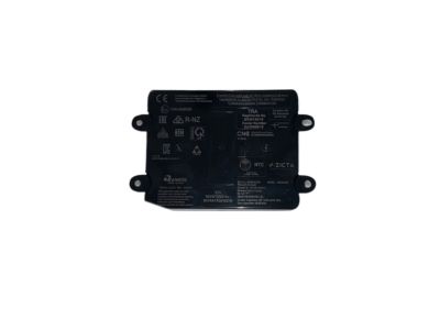 GM 13533076 Module