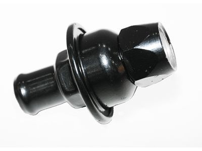 GM 12567733 Check Valve