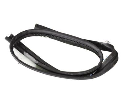 GM 84324584 Front Weatherstrip