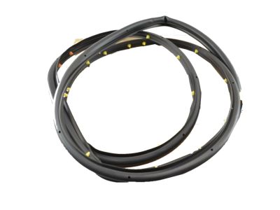 GM 95021341 Door Weatherstrip