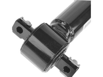 GM 20765189 Strut