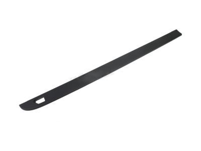 OEM GM 22763055 - Upper Molding