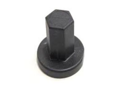 GM 11612034 Lower Cover Nut