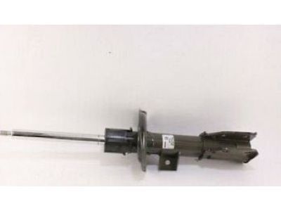 GM 19207092 Strut