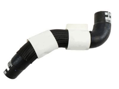 GM 23416973 Lower Hose