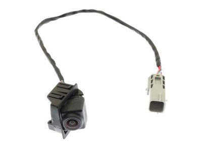 OEM GM 90802516 - Camera