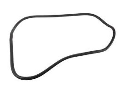 GM 15147501 Weatherstrip, Rear Side Door