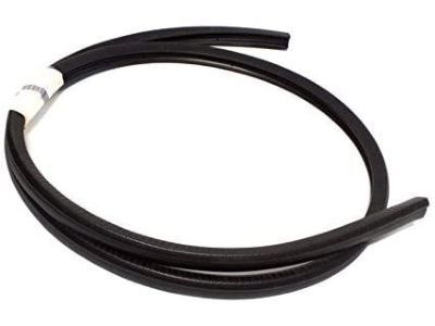 GM 22614342 Weatherstrip Asm-Roof Side Rail