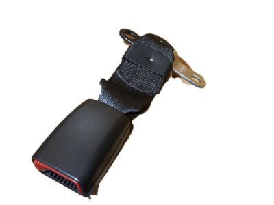 GM 19121601 Buckle End