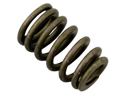 GM 12621428 Valve Springs