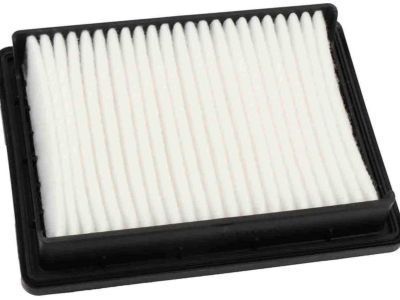 GM 95238310 Air Filter