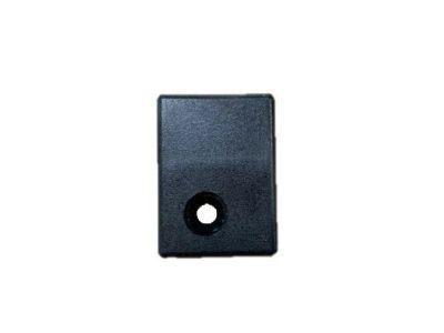 GM 25520136 Noz Asm - Windshield Washer *Black