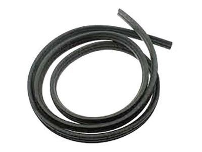 GM 19168171 Surround Weatherstrip