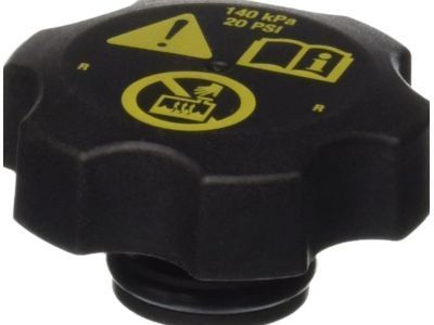 GM 13502509 Filler Cap