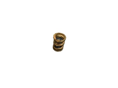 GM 587575 Front Pipe Spring