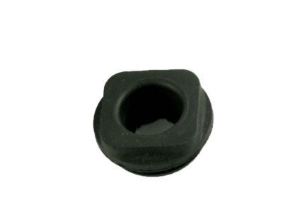 GM 3989348 Grommet-Special