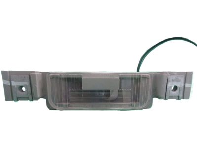 GM 20807070 License Lamp