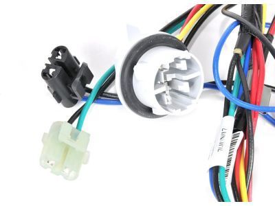 GM 25842432 Socket & Wire