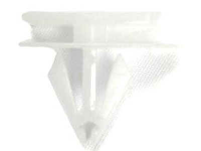 GM 10323057 Rocker Molding Clip