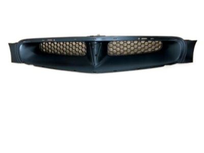 GM 19179709 Grille Asm, Radiator