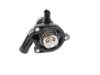 GM 25200455 Thermostat Unit