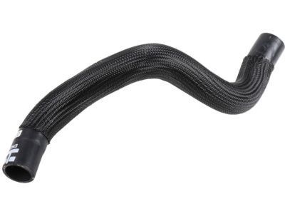 GM 84128850 Lower Hose