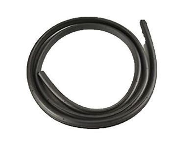 GM 19260468 Door Weatherstrip