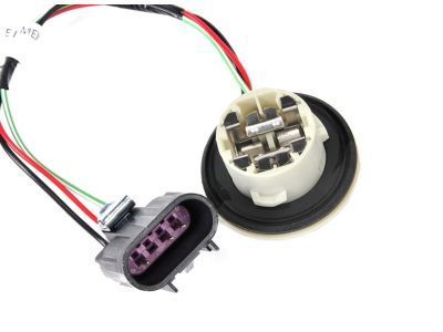 GM 23389937 Socket & Wire