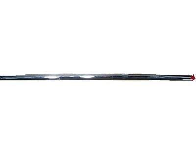 GM 22775449 Body Side Molding