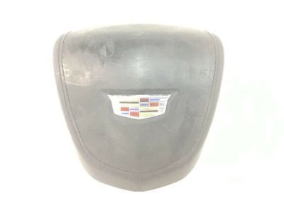 GM 23381513 Driver Air Bag