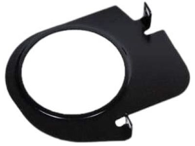 GM 10243681 Cover, Trans