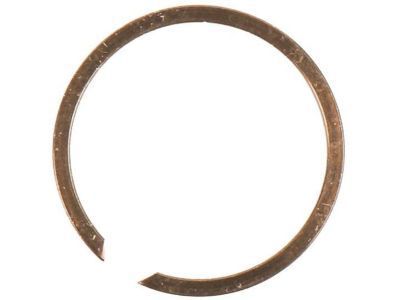 GM 24231268 Ring-Turf Shaft Retainer