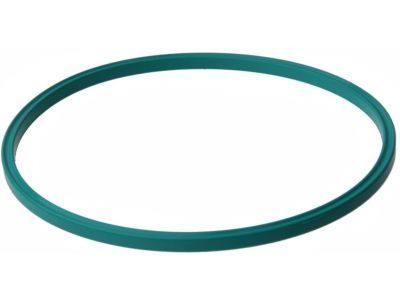 GM 22672293 Fuel Pump Assembly Seal