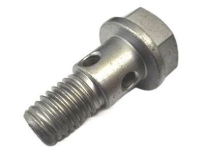 GM 11561946 Oil Feed Tube Bolt