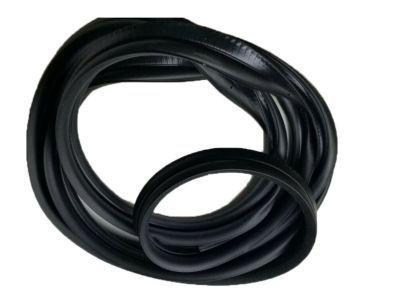 GM 10371150 Surround Weatherstrip