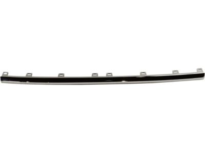 OEM GM 84255081 - Lower Molding