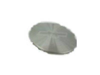 GM 10097530 Hub Cap