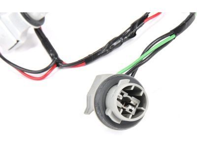 GM 25921613 Socket & Wire