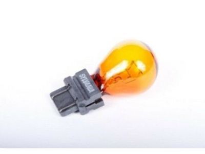 GM 15828918 Run Lamp Bulb