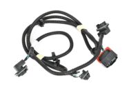 OEM Chevrolet Socket & Wire - 20840284